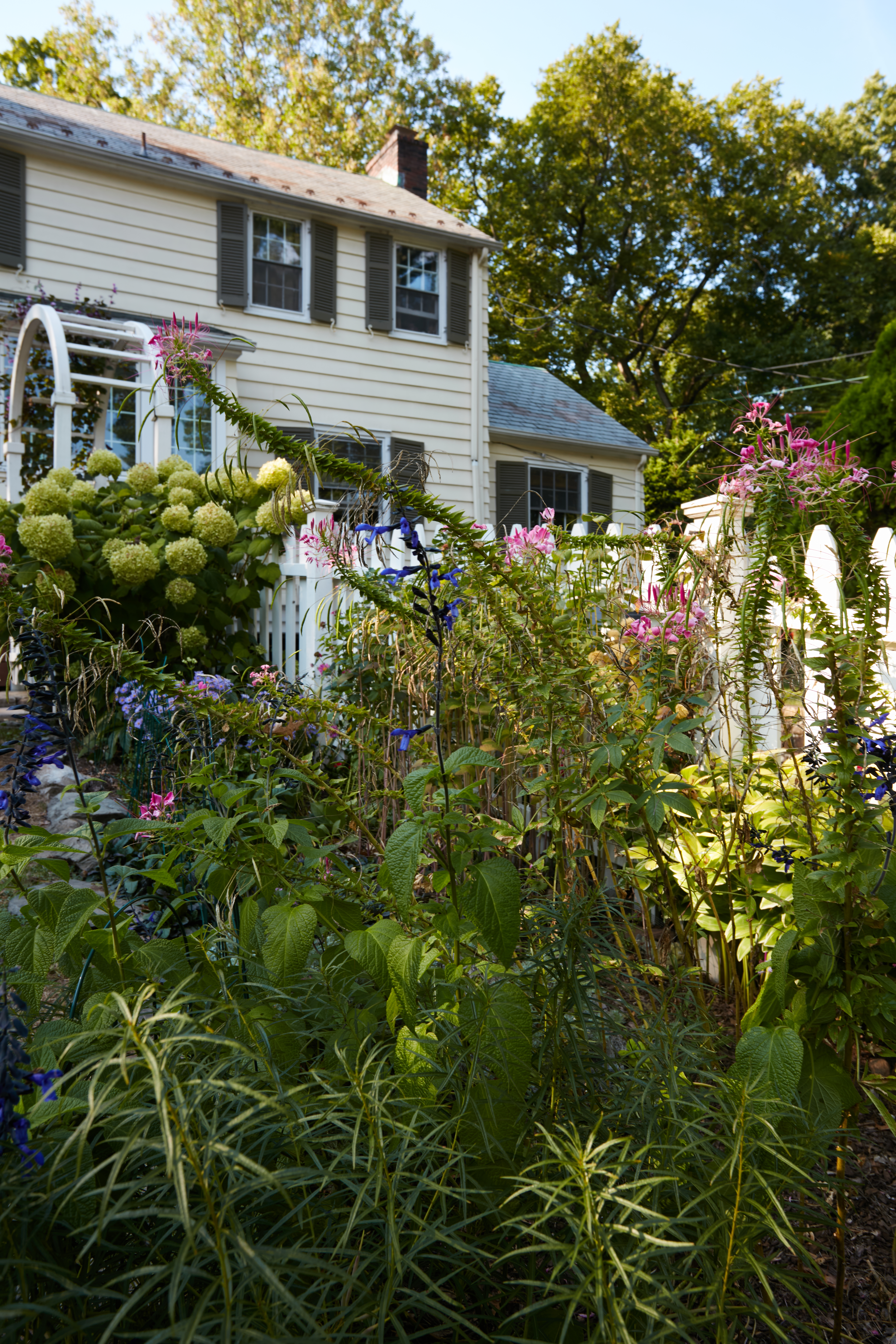 530Ridgewood-Curry_55