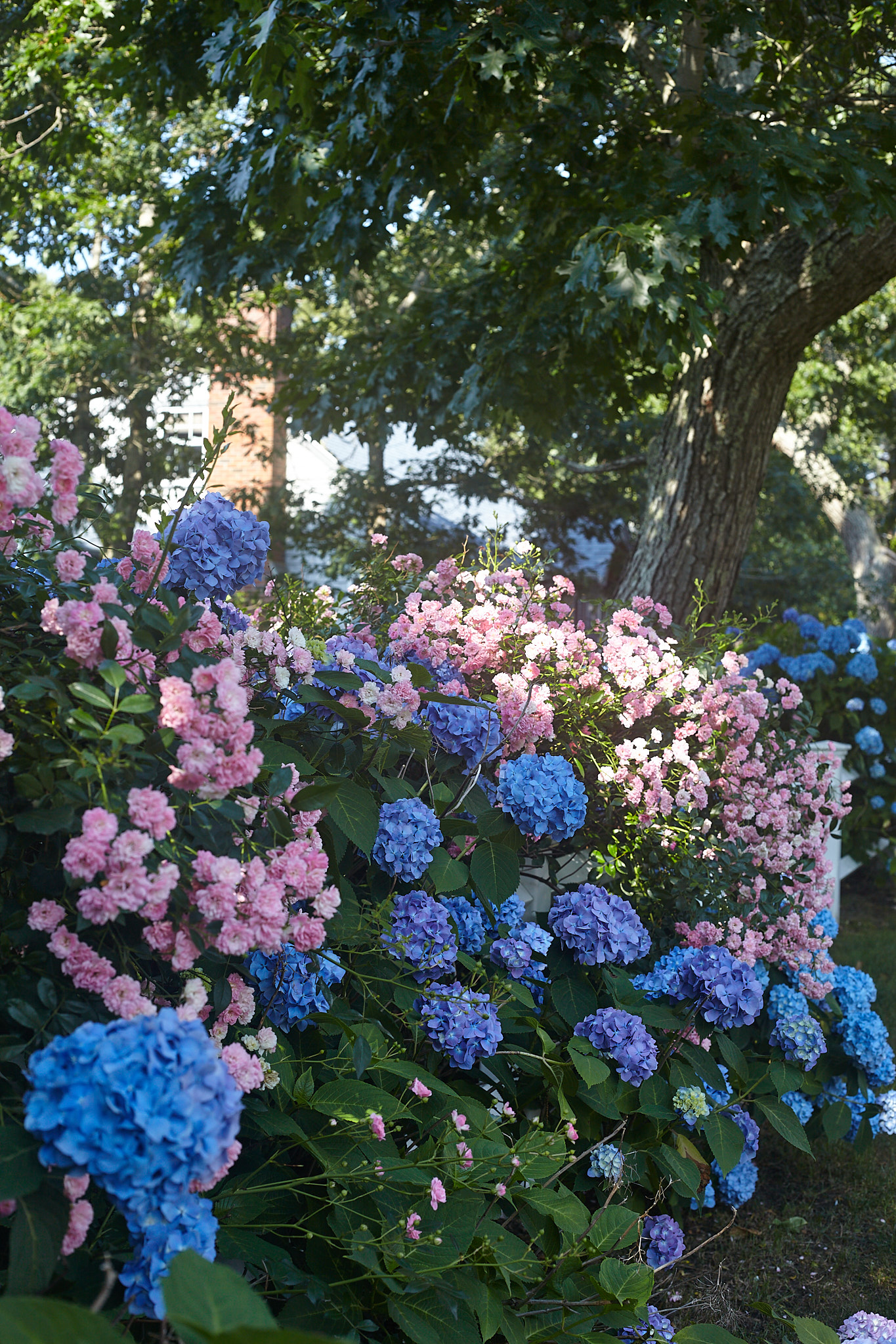 CapeCod_156